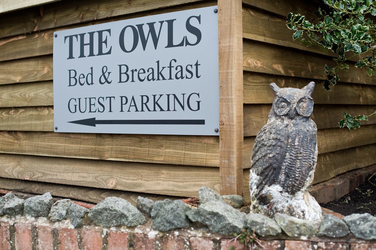 Bed and Breakfast The Owls Builth Wells Exterior foto